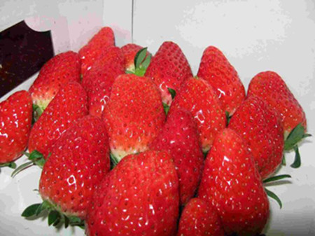 вݮ _ݮ ҿڲݮ ݮ硿