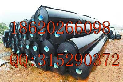 VF͹޻ABĤ--FұcVIBĤ