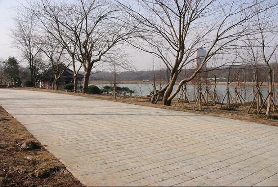 ϺVˇg(sh)ƺ//ˇg(sh)ƺô/ˇg(sh)ˇ