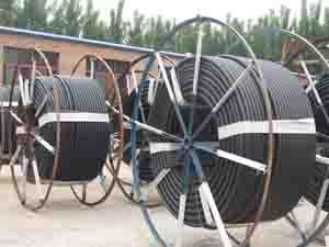 о܏Sңо܈(bo)r(ji)оҎ(gu)