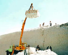 ޻ѶCץ޻ްO(sh)