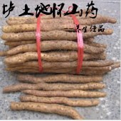 خaڑɽˎ-ؑɽˎ-ɽˎOƷͶYx