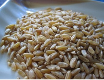 hЙCsZ֮һ-ʠIBrֵ-خal