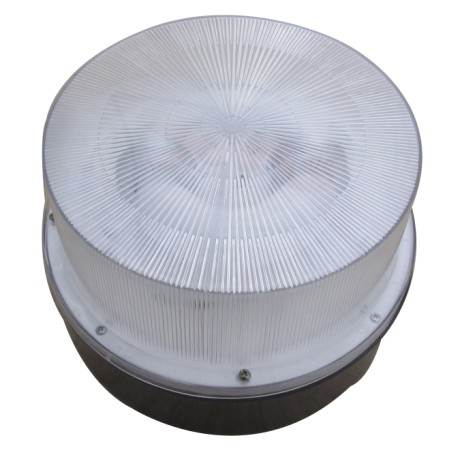 SֱN픟 픟 픟 oO픟 ͏d픟