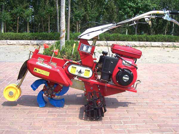 (yng)_(ki)C(j)_(ki)C(j)ɽ|_(ki)C(j)