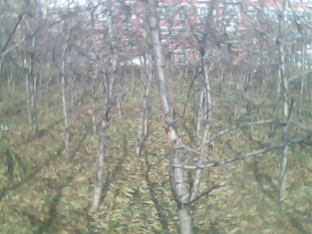 (yng)5Ҙ 8Ҙ-15Ҙ ռҘ Ҙr(ji)