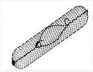 WJ-ʯ\WSʯ\W־кܴĿ_c