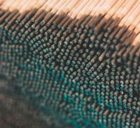 (yng)_ESAB XzOK Tig 5356 M(jn)Xz