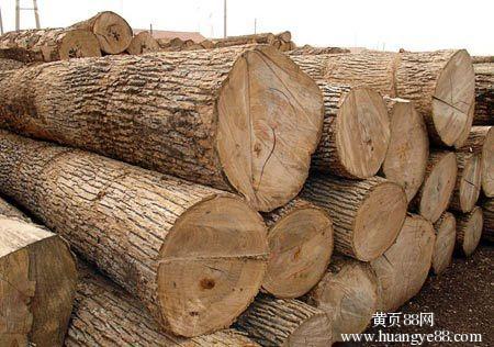 Ȫ݁M(jn)ڈ(bo)P(gun)m(x)Y