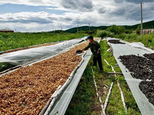 W(wng)Ҏ(gu)_ĢW(wng)