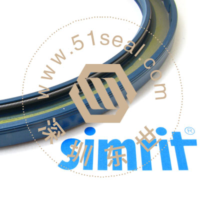 CFWǼͷ CFWsimrit