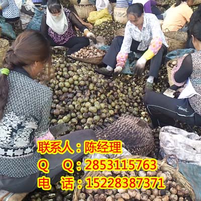 ĴȫԄӺəCrĴ߲˺əCأĴвˎəC