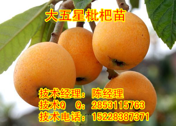 Cƽ?jng)rƽ?jng)l(f)S