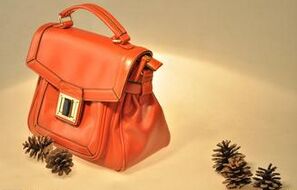 lSONCAPJ(rn)C  SONCAPJ(rn)C˾W(wng)ַ