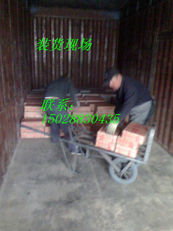 PP-A907P䓺l E320-16P䓺Ͻ늺l z