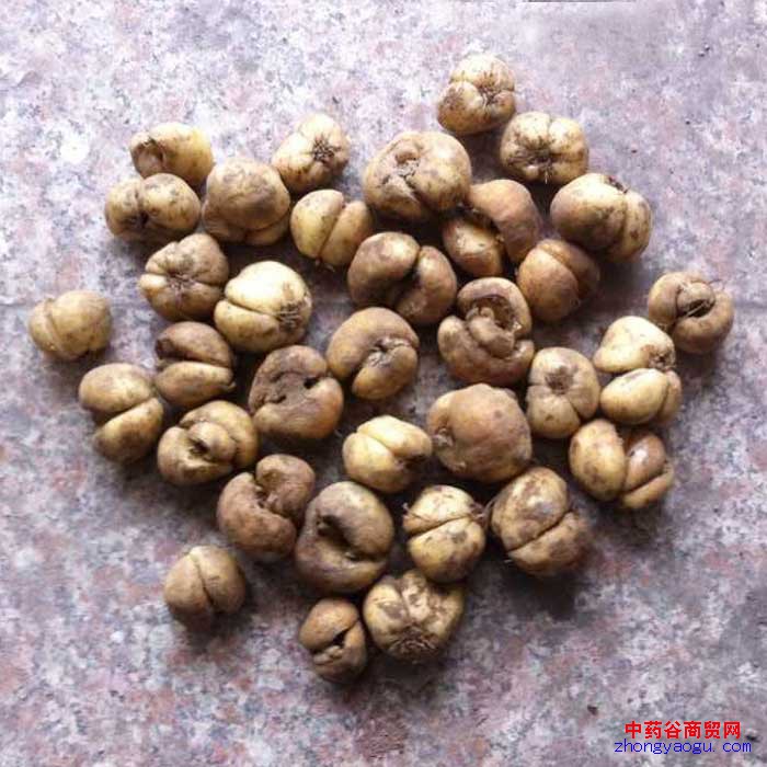 ُؐĸ ُؐĸ ُؐĸ