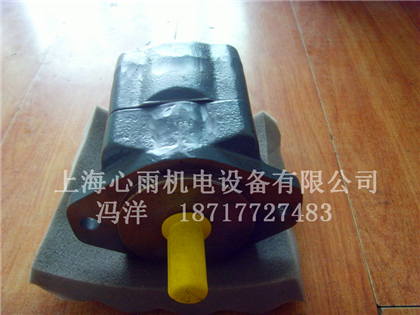 R900929461 PVV2-1X/045RA15UMBʿ