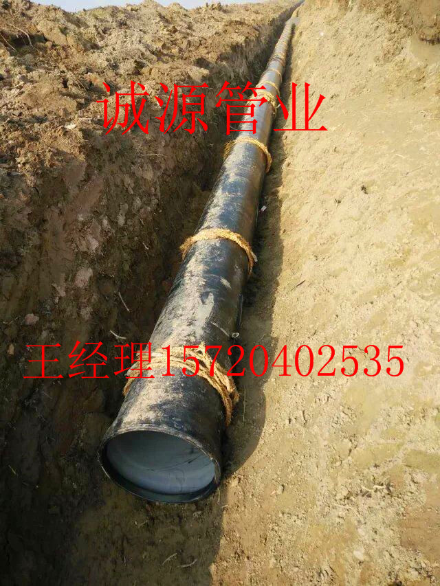 BTPSP܏ͺϹ䓹܏SֱN