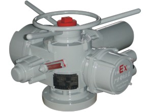 HKQ1/LK{ͲֻDyT늄baS