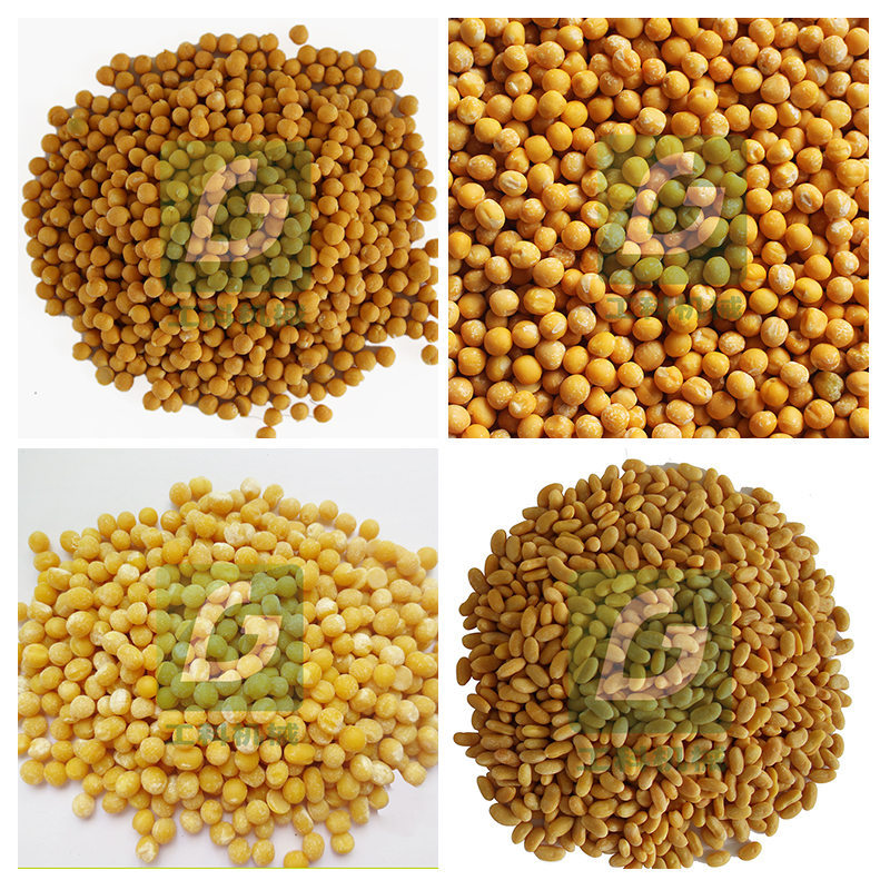 ra1ÓƤC㶹ÓƤCSÓƤİC