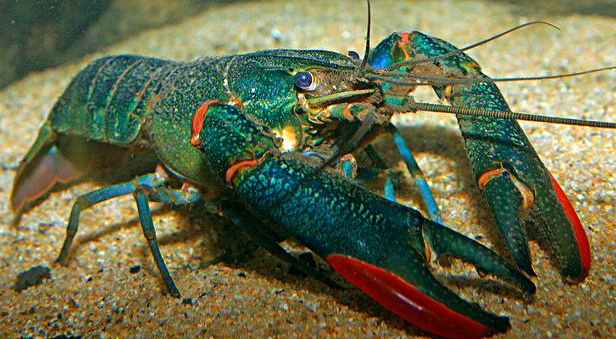 M(jn)ڰĴtƵĈ(bo)P(gun)