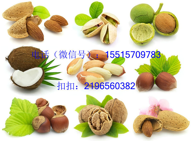 ϸɹlحݸɹFُح݈ԹYЏSحÿՈԹFُ