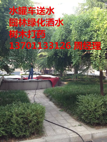 TǏShlֈ@־Gľˎ13911940595