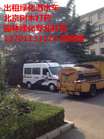 ʯɽӰԺhl֘ľrˎ139l119l40595