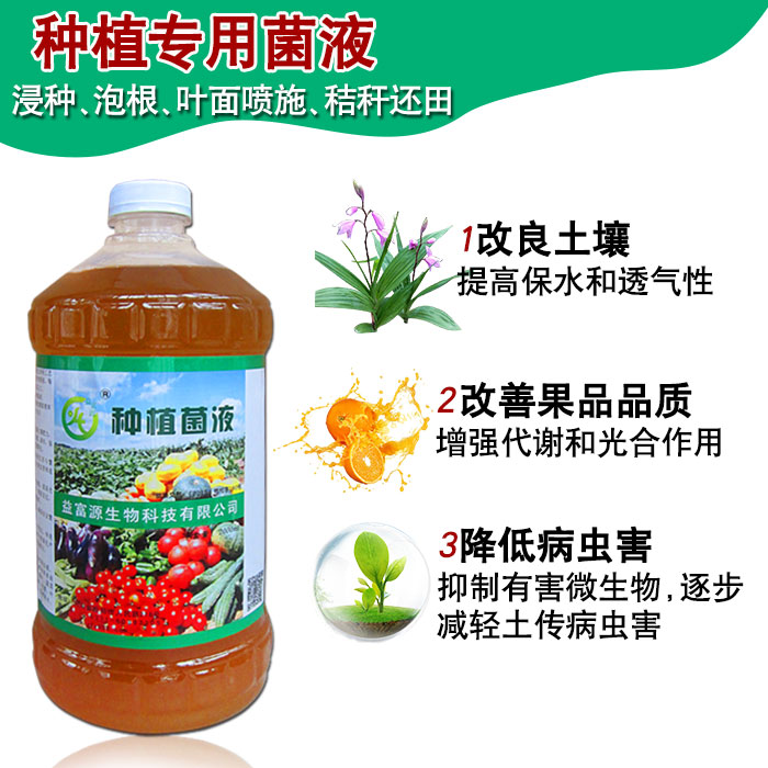 渻ԴNֲIB(yng)Һ΢B(ti)ƄSֱNr