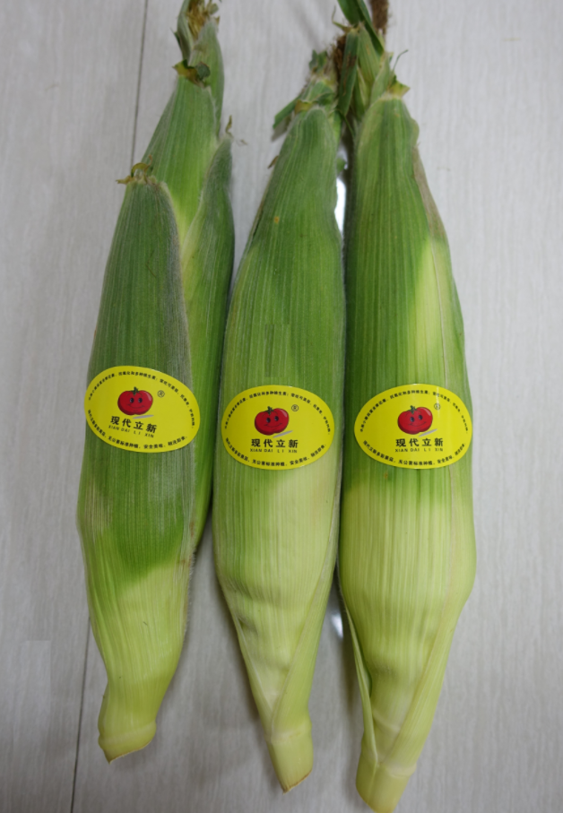 F(xin)³׽ˮ2017?yng)|˲[(hu)ˮ