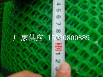 B(yng)W(wng)  B(yng)uW(wng) oW(wng)  B(yng)ֳW(wng)  zW(wng) SֱN