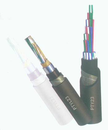 PTYAH23F·̖|PTYA23 9X10