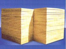 Vذr񣻹VذҎ񣻹VذS