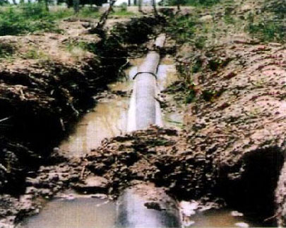 ܏(f)Ϲܣ܏(f)Ϲ܏Sң܏(f)ϹҎ(gu)܏(f)Ϲ܃r(ji)