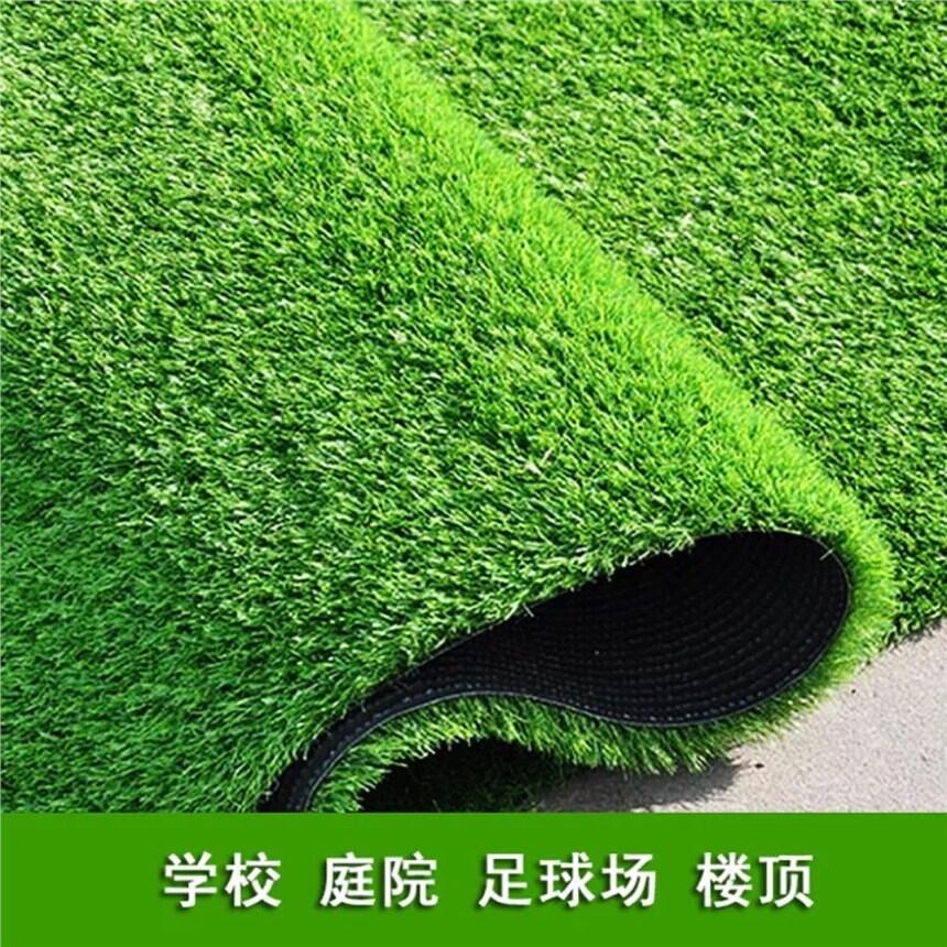 ɶƺƺl̼ЬF؛bٲƤƤ