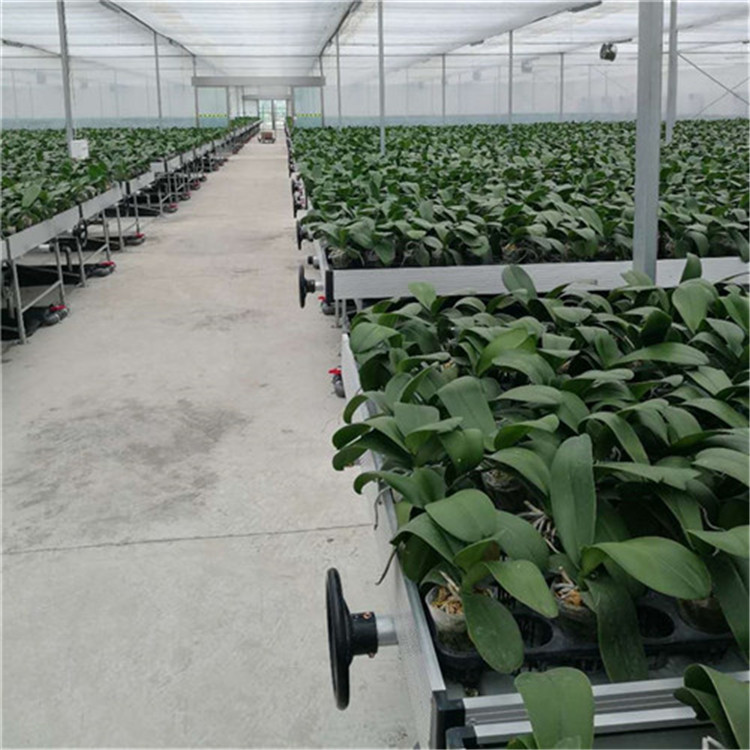 ÑMҳϫ紲 F؛ ȫl؛