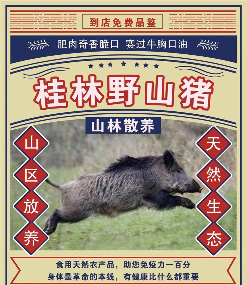 όlҰɽiɽַBÿrwTlƵ