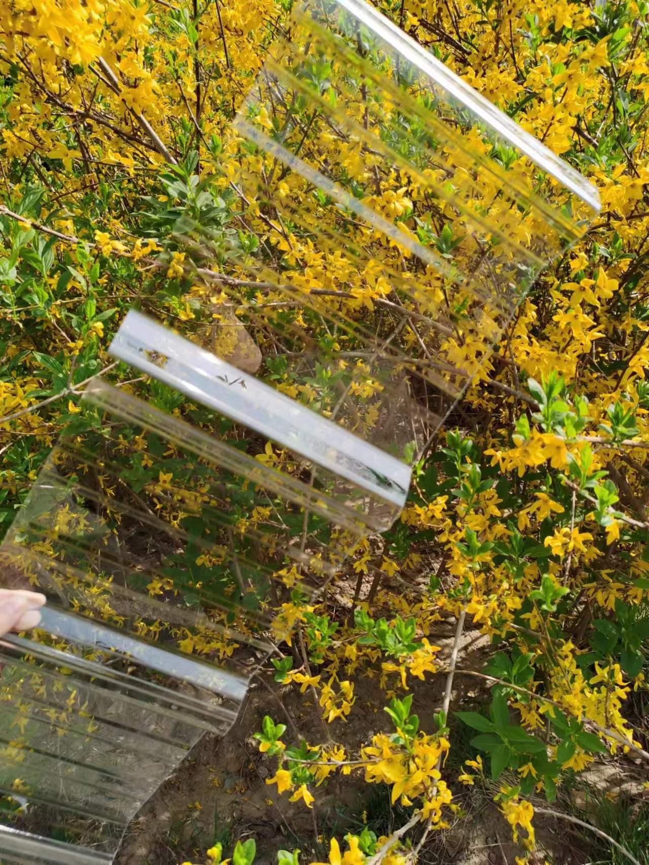 mSɽ|ĳǸƲֶ֧ƲߏSҎRȫ