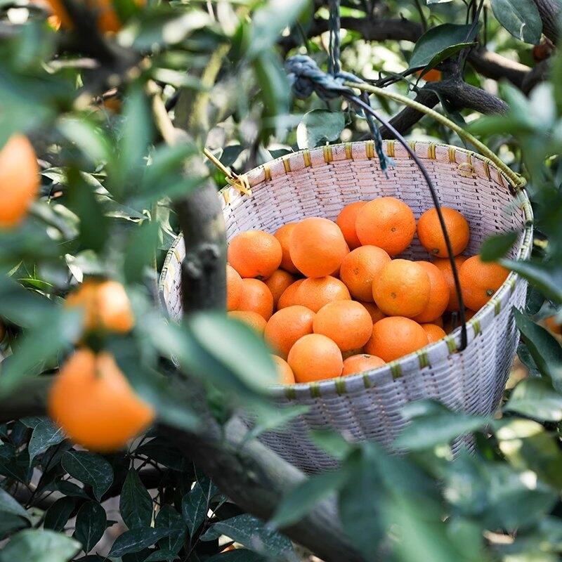 ӿȪ۽ һl(f) ؛Դ l(f)^(q)F(tun)ُ(gu)