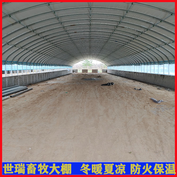 B(yng)ｨO(sh) B(yng)ôʩ B(yng)ôʩS