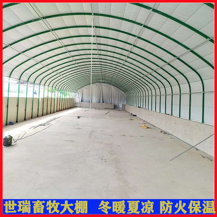 B(yng)ZｨO(sh) ɢB(yng)Z uZB(yng)ֳﰲbS