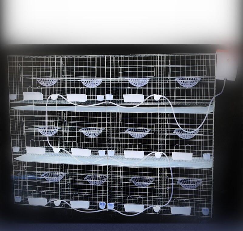 Sl(f)ӻ\ ̖ӻ\ B(yng)ֳӴ䌦\ ֳ\S