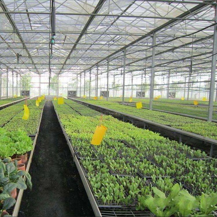 \紲W߅-ƽw紲-紲WֲW-ӻ紲