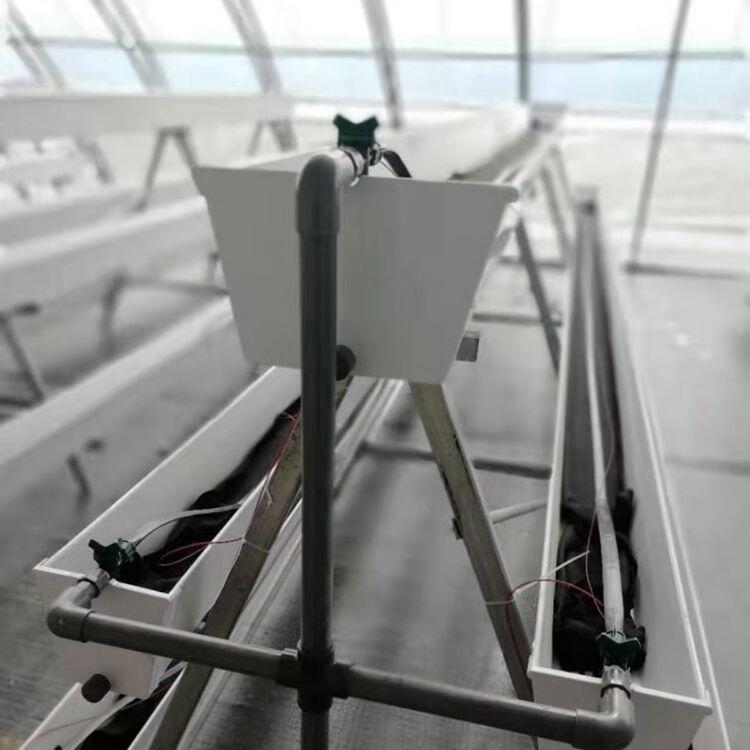 ݮNֲ֧-ݮo-wݮ۲ݮ׷N