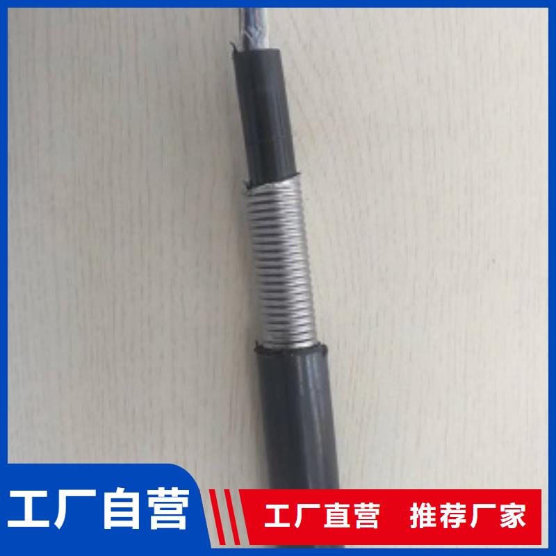 WDZCN-YJY23-0.6/1KV-3X10+2X6.0ou͟ͻ|