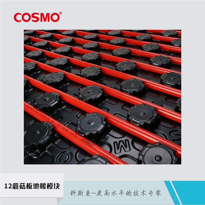 ˹cosmo12ĢůģKʯīů