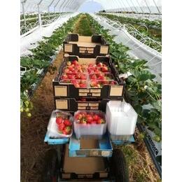 ڄտɿᣬ򹤰Ĵн3fչrBֳ