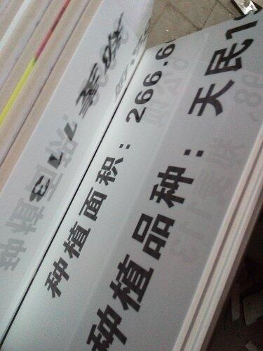 ߘ˜rｨO   rｨOƵăr