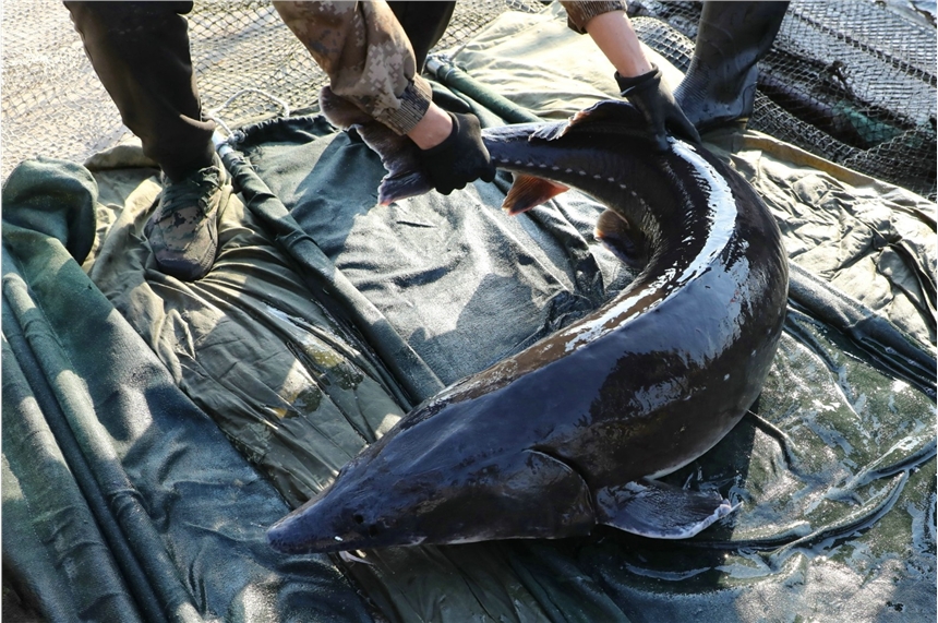 OֱN\m~(jng)Ṇr\m~(yng)̣B(yng)ֳ\m~N۹˾