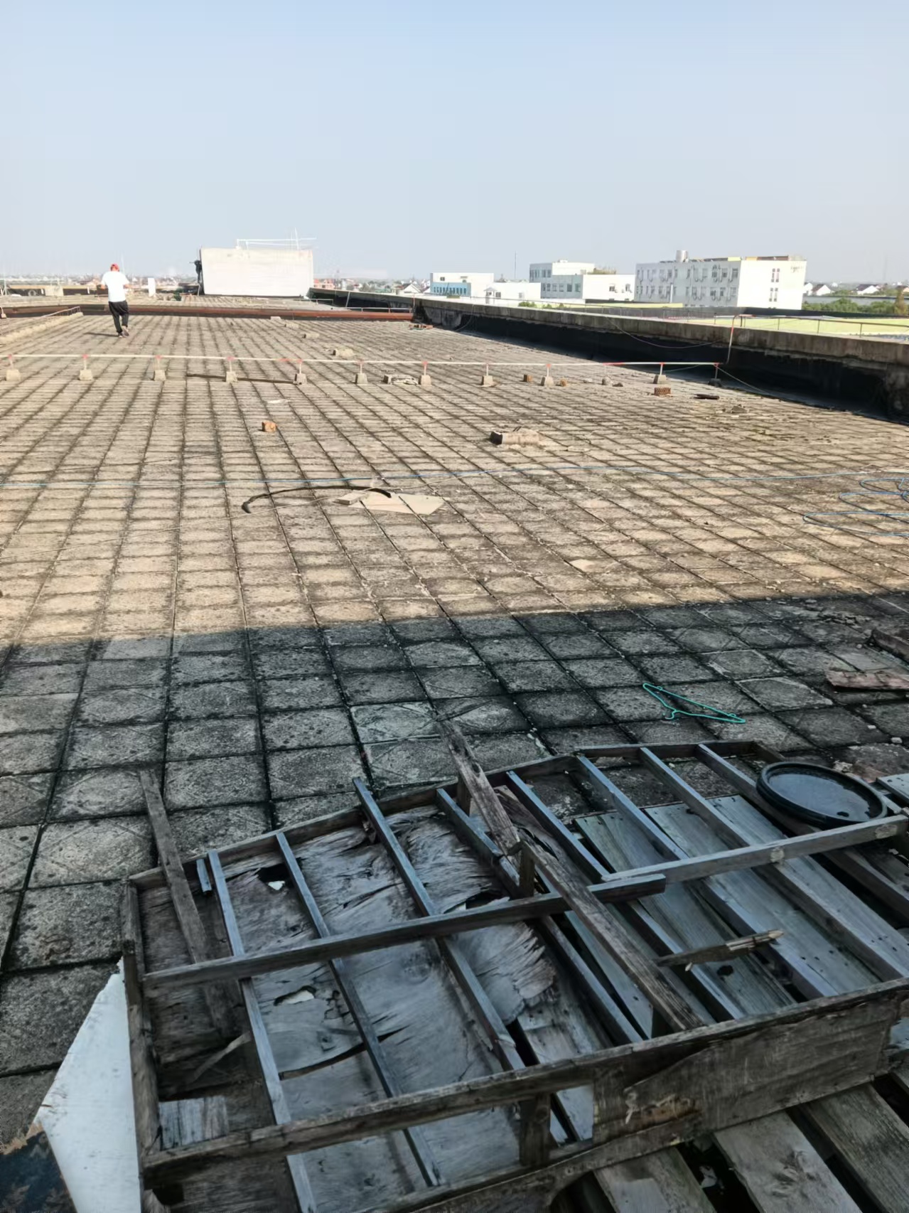 Ϻ_l(f)^(q)SI(y)B©߉ע{©